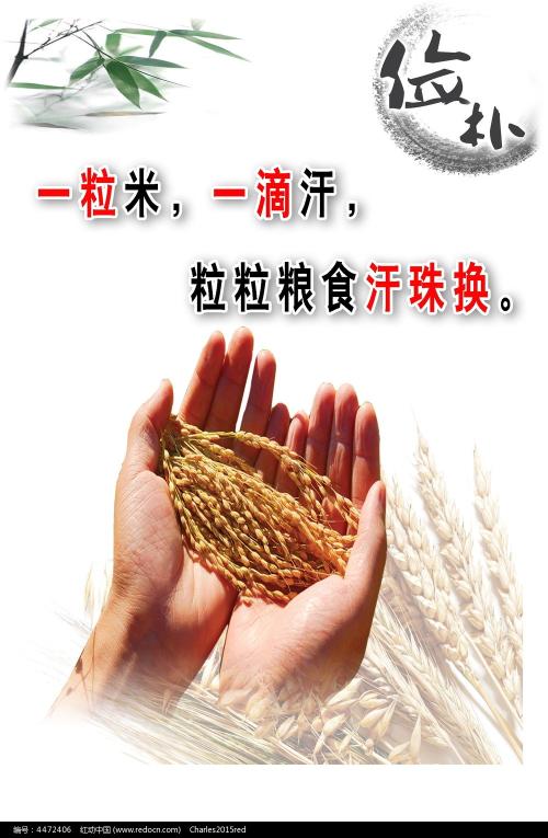 UniversityofNotreDameAustralia理工科文凭证书